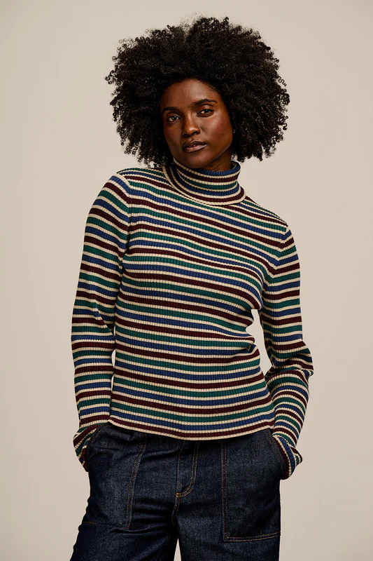 Eva - Knitted Roll Neck Long Sleeve Top in Earthy Stripe